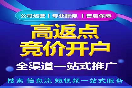 百度竞价SEM的秘密武器：案例背后的策略分析